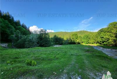 Teren Intravilan 12000 mp, Cascada Urlatoarea, proiect aprobat pentru Resort, la - 6