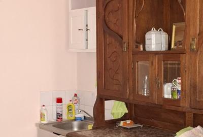 Apartament 3 camere, Schei-Piata Unirii, suprafata 86 mp, parter la casa. - 17