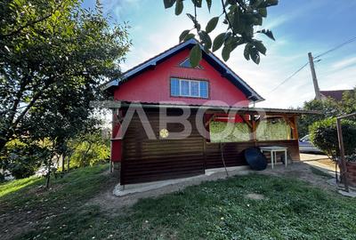 Casa  individuala de vanzare cu 950mp teren Saliste zona deosebita - 35