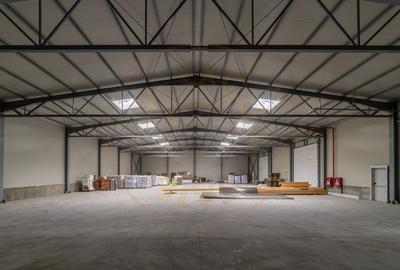0% Comision-Inchiriere  2 hale noi zona Bascov la DN 7C - 12