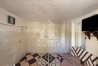 Casa cu garaj de vanzare, teren 739mp, zona Modern Lorena - Timisoara - 9