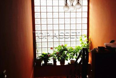 Chiajna - parcul Viitorului - 17