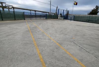 HALA 1800 MP//PLATFORMA BETONATA 5200 MP//ZONA BRAZI - 6