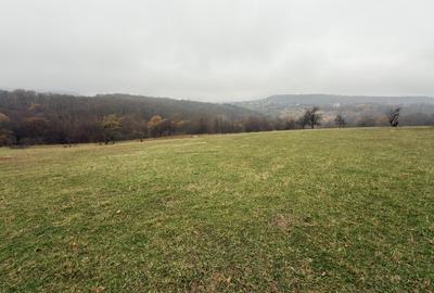 Teren spectaculos 3,5HA zona Cisnadioara - 2