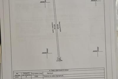 Teren 15000 mp, Tisita, Vrancea, langa autostrada A7, ideal investitie - 5