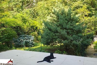 Vanzare vila 5 camere Baneasa - 1