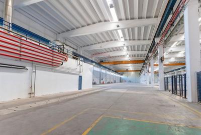 Spațiu industrial de 20,569mp de vânzare - 13