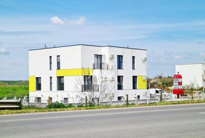 Studio Vama Veche - 1