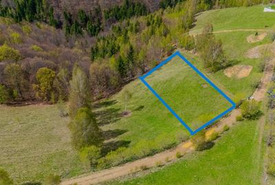 Teren de poveste, intru un sat de poveste Pestera/Moeciu/Brasov - 1