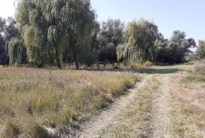 OCAZIE:Teren intravilan Tulcea-19euro/m.p. - 5