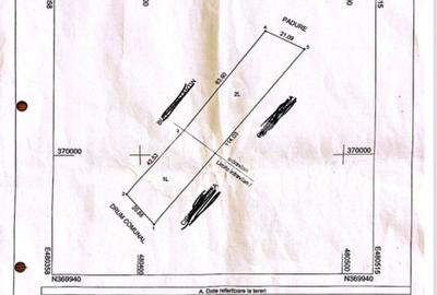 Teren langa padure, liniste, aer curat la 11 km de Pitesti - 1