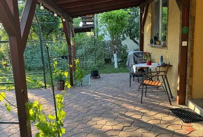 Vand casa cu teren in sat Prunaru,com Bujoreni,Jud Teleorman - 5