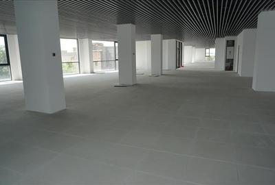 Spatii noi de birouri / comerciale in centrul orasului Craiova - 5