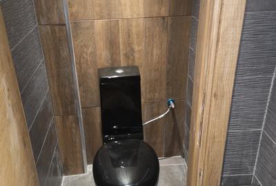 Spatiu Generos, renovat si inchiriat pe termen lung - 5