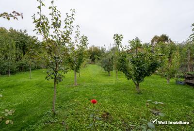 Casă de vânzare în Andrei Mureșanu – zona exclusivista! - 11