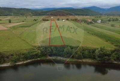 Teren superb Unciuc / jud.Hunedoara - 1