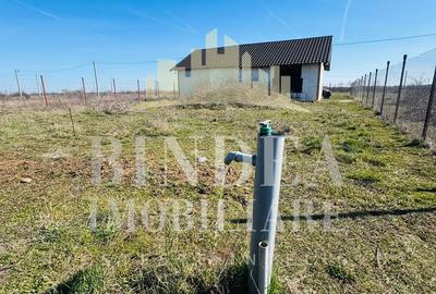 Teren intravilan Mosnita Noua 627mp+ constructie cadru metalic - 6