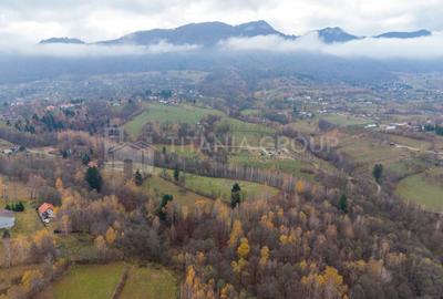 Teren intravilan, cu PUZ, Bran Tohanita,  SE ACCEPTĂ ȘI SCHIMB - 24