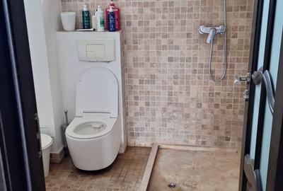 Vila individuala P+2 Pipera | 7 camere | Teren 500 mp | Garaj dublu - 20