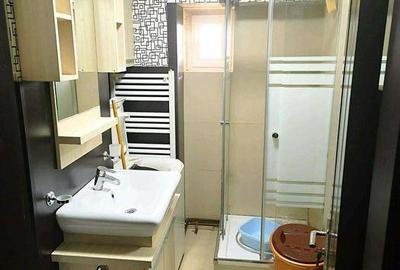 Apartament  de inchiriat cu o camera Pacurari - 5