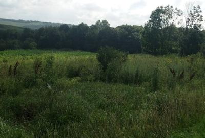 Teren intravilan Baluseni - 1