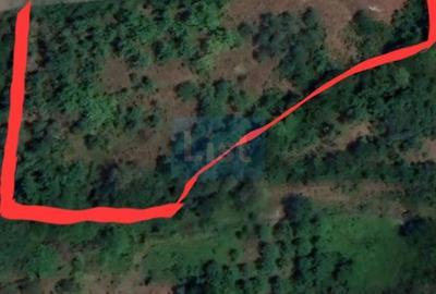 Teren 500 mp | Posibil extindere | Baia Sprie | Comision 0! - 8