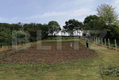 Casa renovabila, 1508 mp teren, Vultureni - 1