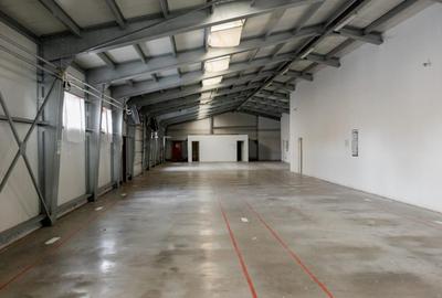 Pitesti, hala industriala/productie,depozitare/logistica de inchiriat, 800 mp - 3