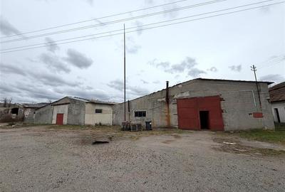HALE INDUSTRIALE | CLADIRE BIROURI | TEREN 7000 MP | GHEGHIE BIHOR - 2