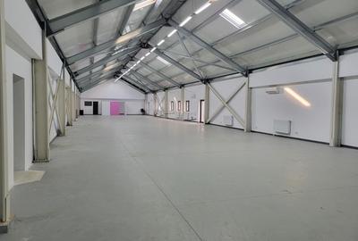 Hala 700 mp,  Pipera, in apropiere de giratoriu, catering, depozitare - 2