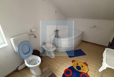 Casa/vila P+E+M, individuala ,730 mp teren-Timișul de jos/Dâmbul Morii - 23