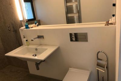 Inchiriere vila moderna Iancu Nicolae - 37