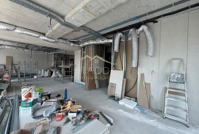 Penthouse Triplex exclusivist *285mp* // 3 Terase // Herastrau - 50