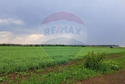 Teren Ciolpani 15.000 mp oportunitate posibilitate lotizare 5000 mp - 7