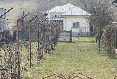 Casa + teren intravilan S= 3200 mp, Dobrogostea, Argeș - idealimob.ro - 1