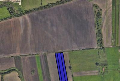 Teren extravilan in zona Bujac,  6.7 hectare, ZERO COMISION - 1