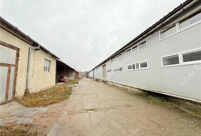 Hala industriala 1175 mp utili de vanzare in Cisnadie - 15
