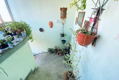 Casa individuala + atelier auto - Str. Litovoi Voda, Sibiu - 11