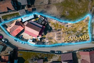 Proprietar, vând casă nouă (186mp) + casă veche și 1600mp teren - 3