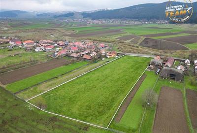 FILM!Potential rezidential/ investitional: 8.000 mp intravilan construibil, Sanz - 1