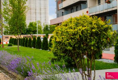 Maurer Residence Targu Mures