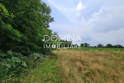 Vânzare teren *17,8 ha - front stradal 40 m.l.* Comuna Runcu - Sat Dobrița - 6