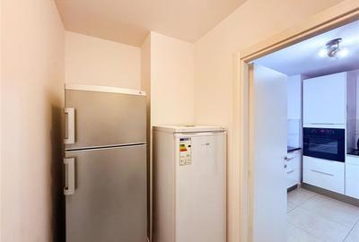 Apartament de inchiriat 4 camere Herastrau - 14