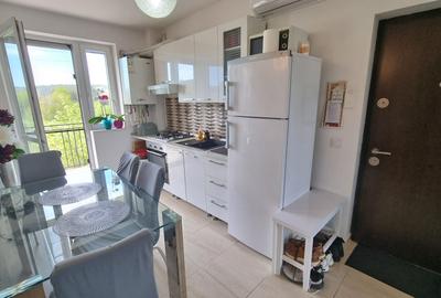 2 camere, de vanzare apartament nou open space in zona Bucium, Cod 162253 - 4