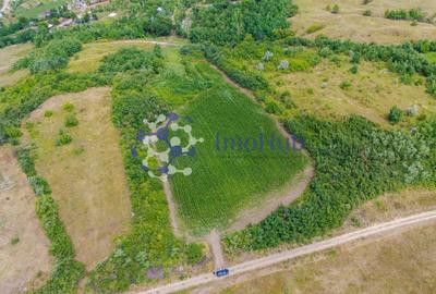 Teren Construcții intravilan de 10000 mp, în Rediu Aldei