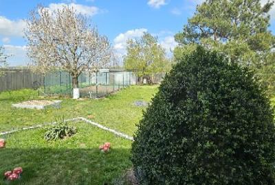 Ciopani vila 5 camere teren 4000 mp - 32