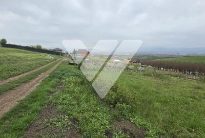 Investitie - Teren intravilan 536 mp Sura Mare ideal construcții - 4