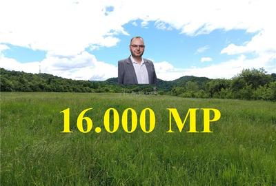 Borlovenii Noi, Teren Drept, 16000mp, la Limita Localitatii - 1