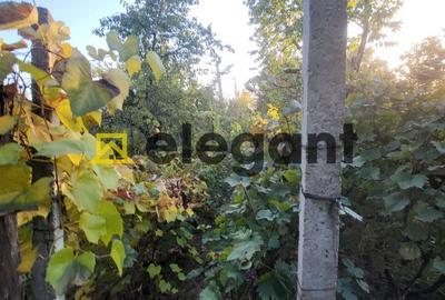Teren 733 mp, Bariera Valcii-zona strazii Cantonului - 2