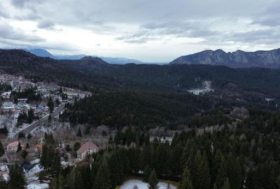 Teren intravilan 3.500 mp Cioplea - Predeal - 6